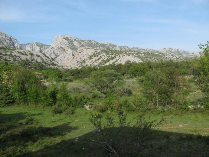 Paklina Apartments Starigrad Paklenica Ngoại thất bức ảnh